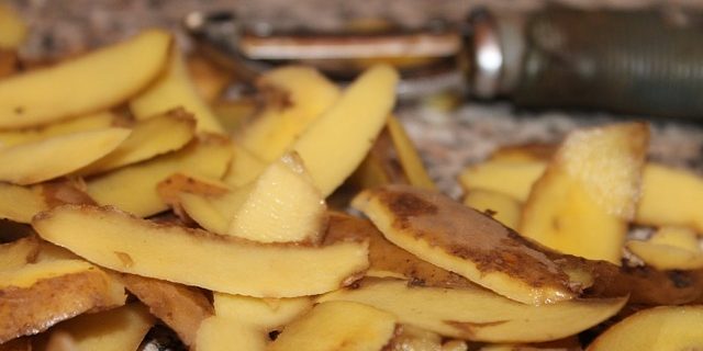 Put-Your-Garbage-Disposal-on-a-Diet