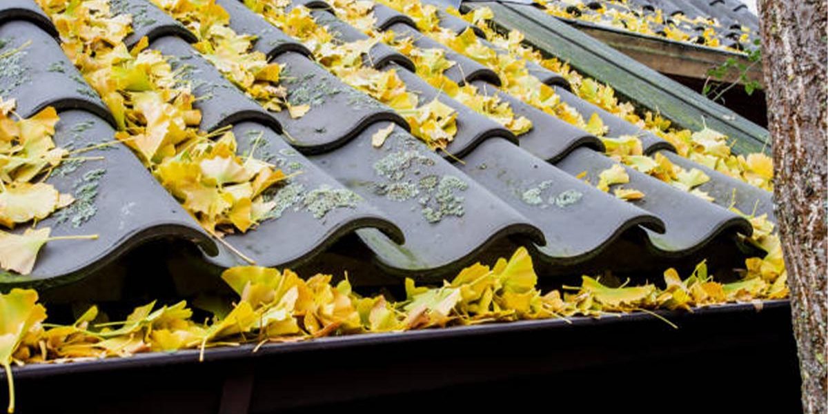 Inspect and Repair Your Roof