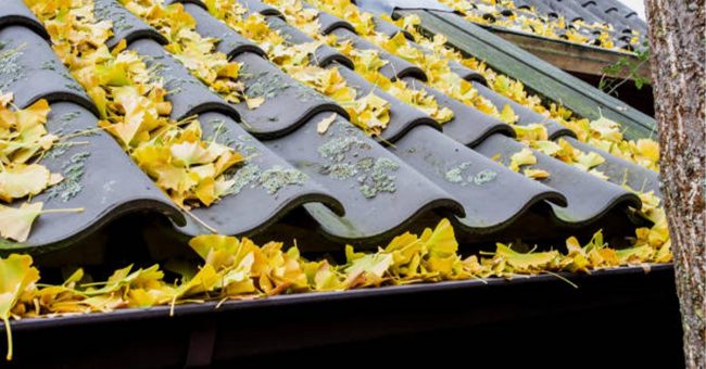 Inspect and Repair Your Roof