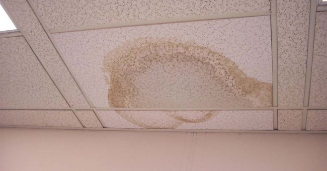 Ceiling Repair Process