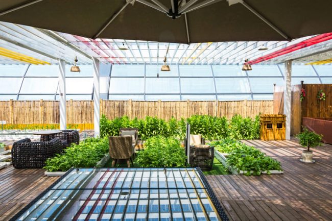 Simple Steps to Refresh Your Deck’s Look