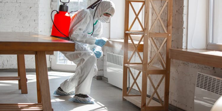 Termite Inspection How to Detect an Infestation Termite Inspection: How to Detect an Infestation